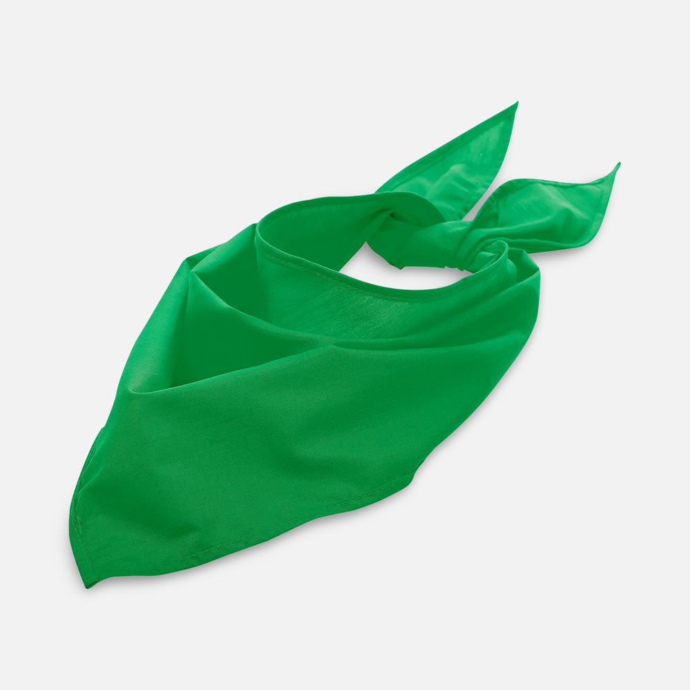 Шейный платок Bandana — изображение 10