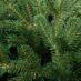 Искусственная ель Ms.Tree, 180-sm