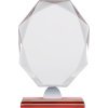 Награда Diamond — изображение 3