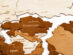 Интерьерная карта мира World