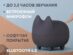 Портативная колонка Mysound Tito 2C, темно-серый