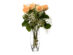 Ваза для цветов Flora