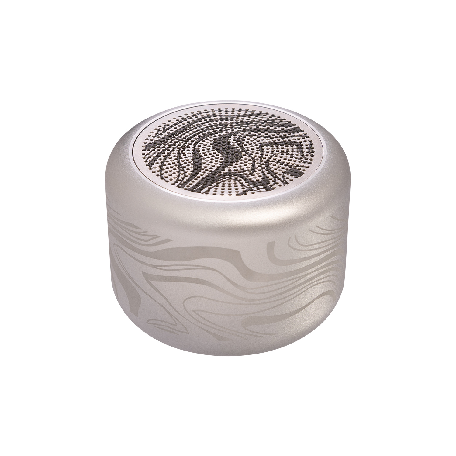 Беспроводная колонка Пэшн (Passion) 80dB 600 mAh (Bluetooth 5.0), серебряная